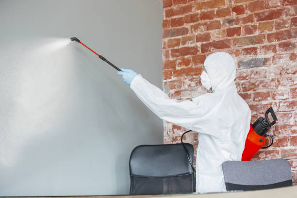 Best Forensic Mold Investigation  in Findlay, OH